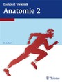 Endspurt Vorklinik: Anatomie 2 - Die Skripten fürs Physikum