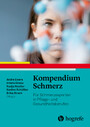 Kompendium Schmerz - Für Schmerzexperten in Pflege- und Gesundheitsberufen