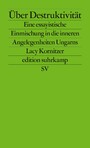 Über Destruktivität - Eine essayistische Einmischung in die inneren Angelegenheiten Ungarns