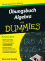 Übungsbuch Algebra für Dummies