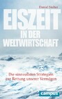 Eiszeit in der Weltwirtschaft - Die sinnvollsten Strategien zur Rettung unserer Vermögen