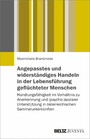 Angepasstes und widerständiges Handeln in der Lebensführung geflüchteter Menschen - Handlungsfähigkeit im Verhältnis zu Anerkennung und (psycho-)sozialer Unterstützung in österreichischen Sammelunterkünften