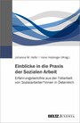 Einblicke in die Praxis der Sozialen Arbeit - Erfahrungsberichte aus der Fallarbeit von Sozialarbeiter*innen in O?sterreich