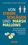 Von Stromschlägen und Marshmallows - Wie Führungskräfte von psychologischen Experimenten profitieren