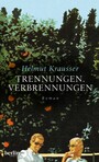 Trennungen. Verbrennungen - Roman