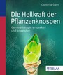 Die Heilkraft der Pflanzenknospen - Gemmotherapie entdecken und anwenden