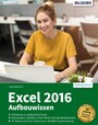 Excel 2016 Aufbauwissen - Profiwissen für Excel-Anwender