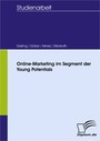 Online-Marketing im Segment der Young Potentials