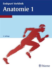 Endspurt Vorklinik: Anatomie 1 - Die Skripten fürs Physikum