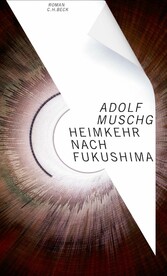 Heimkehr nach Fukushima - Roman