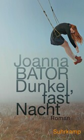 Dunkel, fast Nacht - Roman