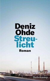 Streulicht - Roman | Frankfurt liest ein Buch 2023