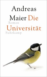 Die Universität - Roman