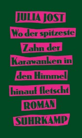 Wo der spitzeste Zahn der Karawanken in den Himmel hinauf fletscht - Roman | Eine Coming-of-Age-Geschichte voller Drive und Witz