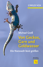 Von Geckos, Garn und Goldwasser - Die Nanoweltwelt lässt grüßen