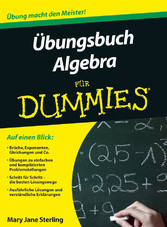 Übungsbuch Algebra für Dummies