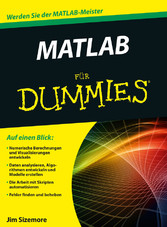 Matlab für Dummies