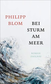 Bei Sturm am Meer - Roman