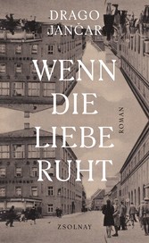 Wenn die Liebe ruht - Roman Wenn die Liebe ruht - Roman