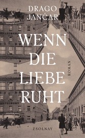 Wenn die Liebe ruht - Roman