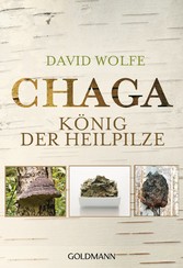 Chaga - König der Heilpilze