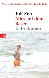 Alles auf dem Rasen - Kein Roman