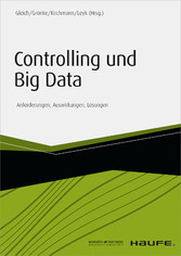 Controlling und Big Data