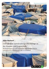 Unbegleitete minderjährige Flüchtlinge in der Kinder- und Jugendhilfe - Wie bedürfnisgerecht sind vorhandene Einrichtungen? Welche konzeptionellen Anforderungen gilt es zu erfüllen?