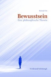 Bewusstsein - Eine philosophische Theorie