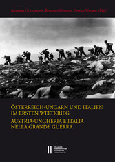 Österreich-Ungarn und Italien im Ersten Weltkrieg. Austria-Ungheria e Italia nella Grande Guerra - Abteilung I: Abhandlungen