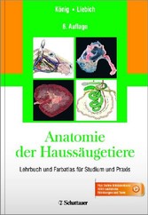 Anatomie der Haussäugetiere - Lehrbuch und Farbatlas für Studium und Praxis - + Online-Bilddatenbank: 1000 zusätzliche Abbildungen und Texte