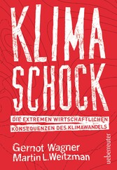 Klimaschock - Die extremen wirtschaftlichen Konsequenzen des Klimawandels