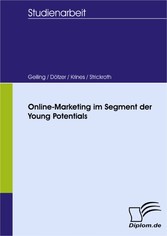 Online-Marketing im Segment der Young Potentials