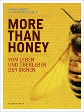 More Than Honey - Vom Leben und Überleben der Bienen