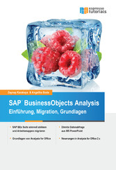 SAP BusinessObjects Analysis - Einführung, Migration, Grundlagen
