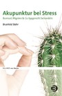 Akupunktur bei Stress - Burnout, Migräne & Co. typgerecht behandeln