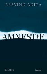 Amnestie - Roman